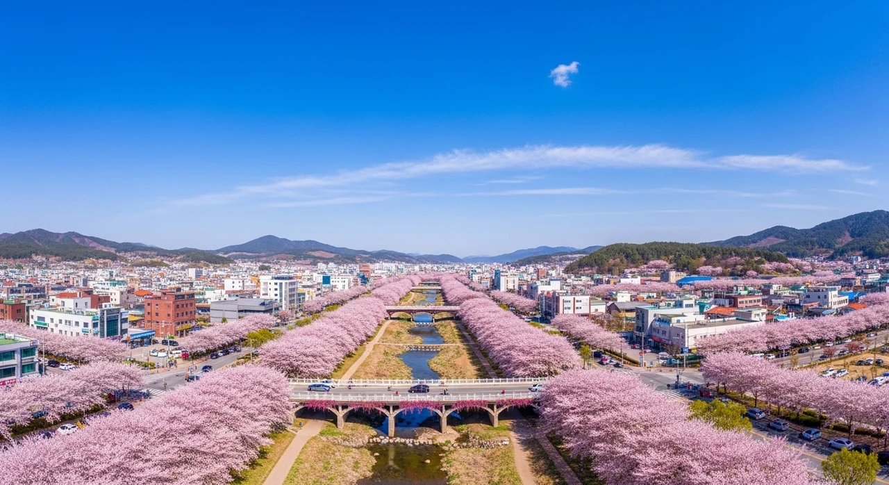 2026 진해군항제 핵심 정보: 기간, 장소, 그리고 즐길 거리