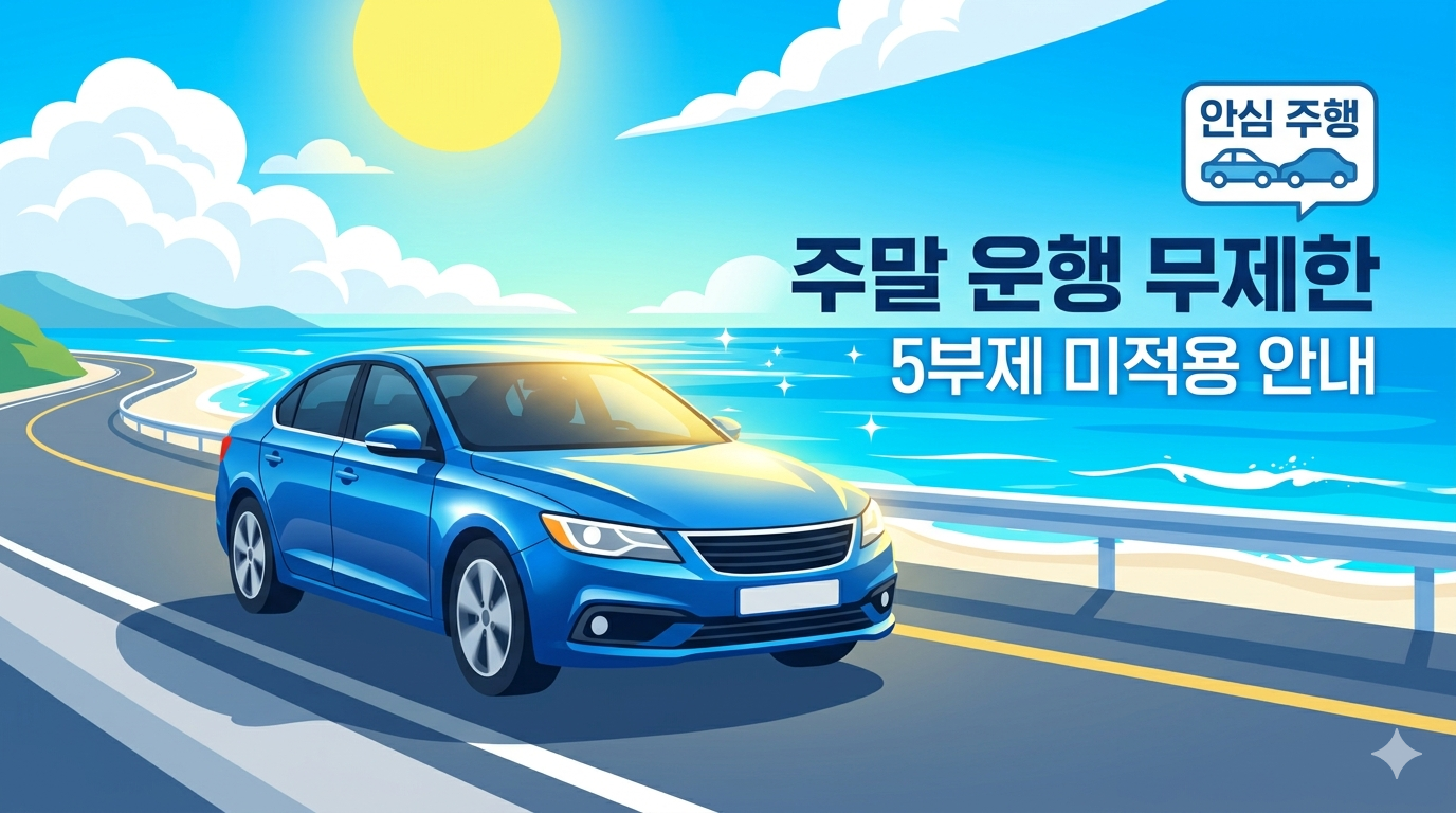 주말 차량 5부제 적용 여부와 평일 운행 제한 규정 정리