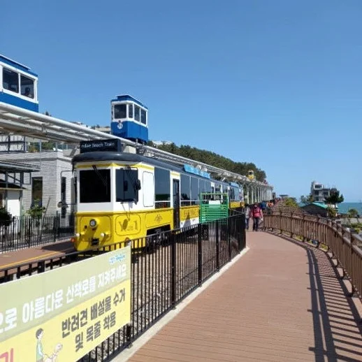 KTX 부산 시티투어 당일치기 기차여행 용궁사 해운대 해변열차 오시리아 중식 포함 패키지 상세 이미지 4
