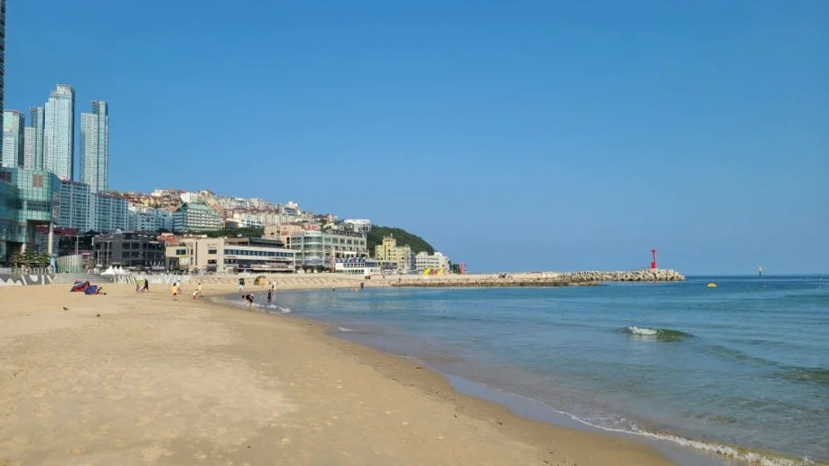 KTX 부산 시티투어 당일치기 기차여행 용궁사 해운대 해변열차 오시리아 중식 포함 패키지 상세 이미지 8