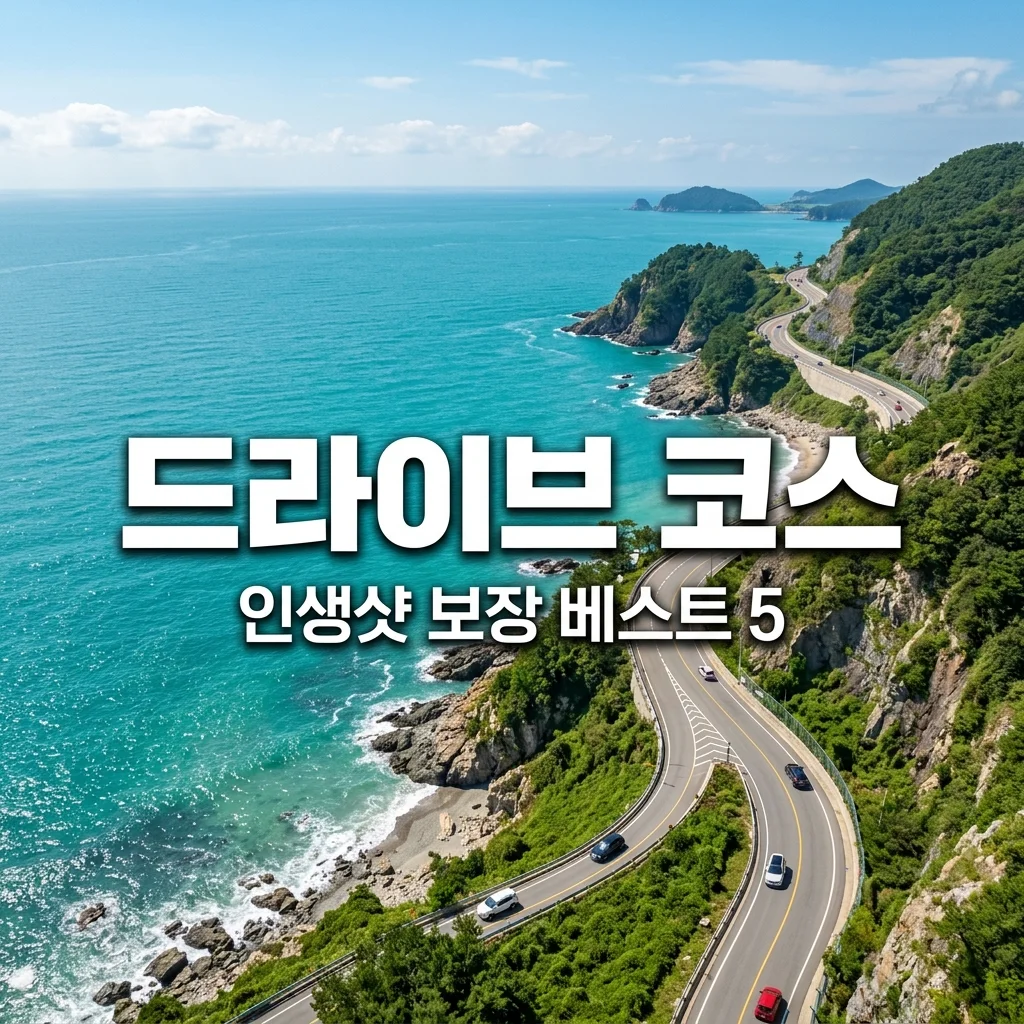 국내 드라이브 코스 추천 TOP 5 | 주말 나들이 떠나기 좋은 명소