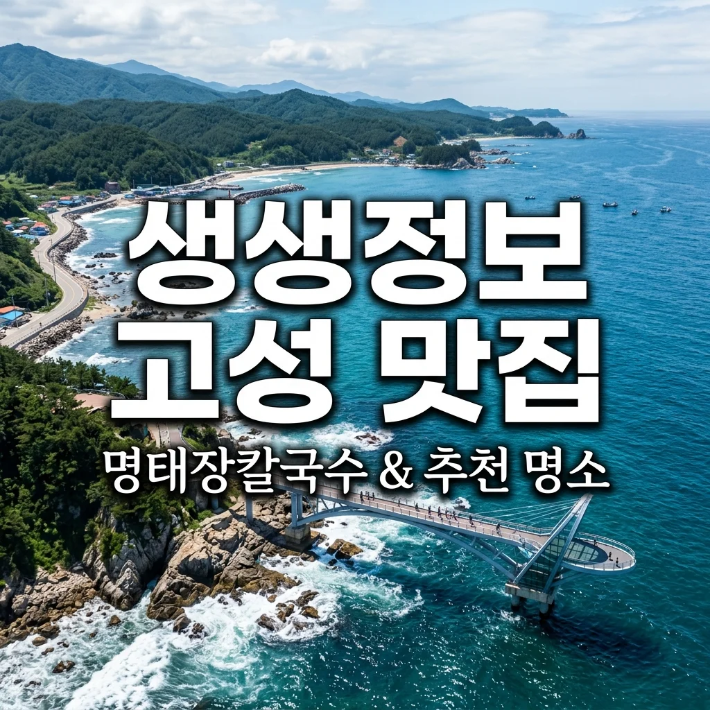 2TV 생생정보 고성 2557회 맛집 여행지 총정리 (마추깡 명태장칼국수·백섬해상전망대)