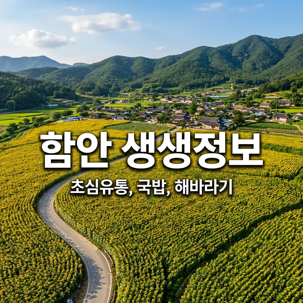 함안 여행: 2TV 생생정보 2564회 함안군 초심유통, 한우국밥, 해바라기마을 핵심 정보!