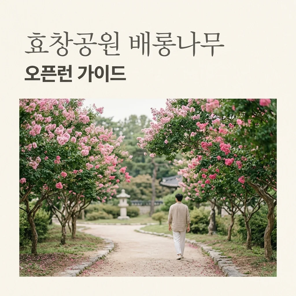 효창공원 카페 오픈런, 배롱나무 명소 완벽 즐기는 2026년 여름 가이드