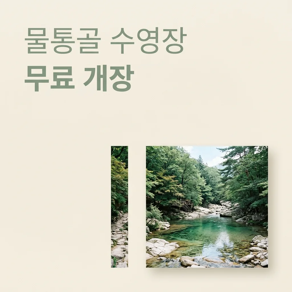 장성 물통골 수영장, 2026년 무료 개장! 방문 전 필수 확인 5가지