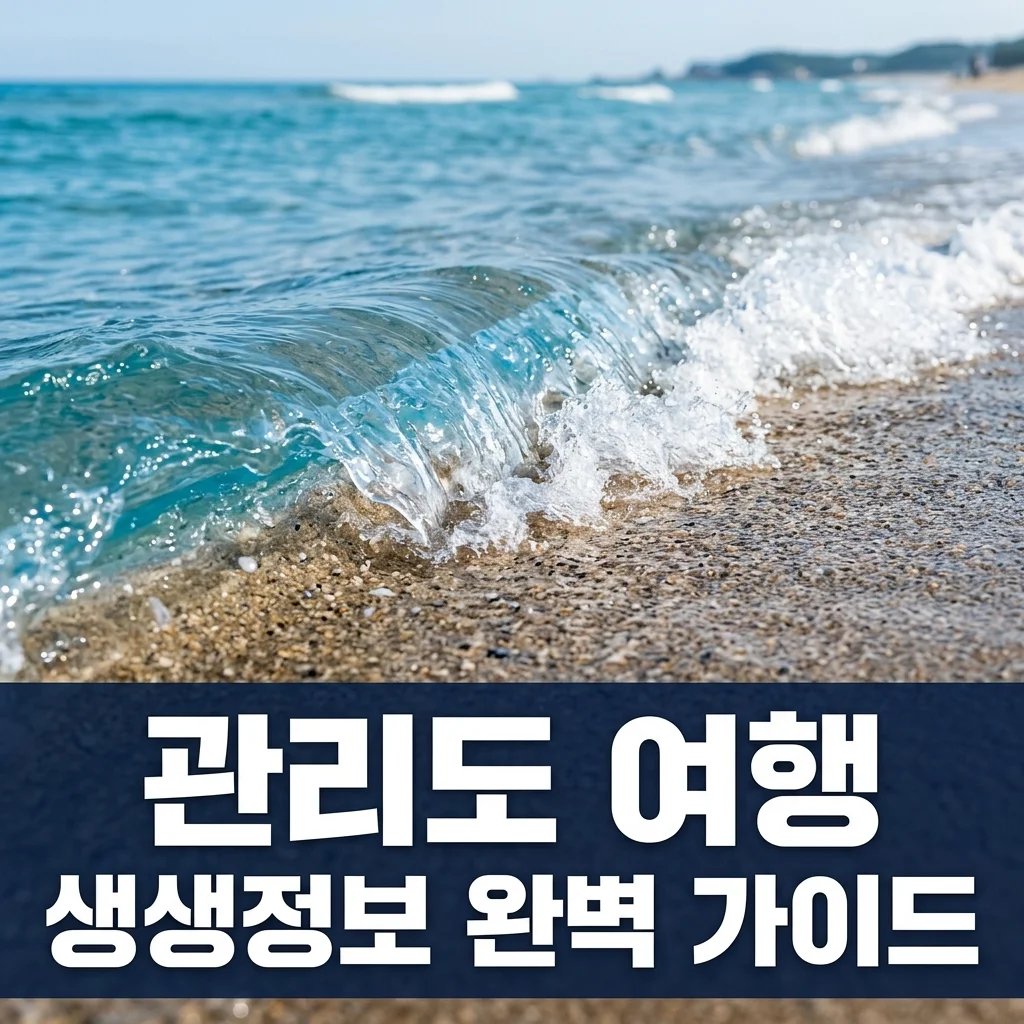 2TV 생생정보 관리도: 길식당, 길민박, 캠핑장 예약 꿀팁 총정리!