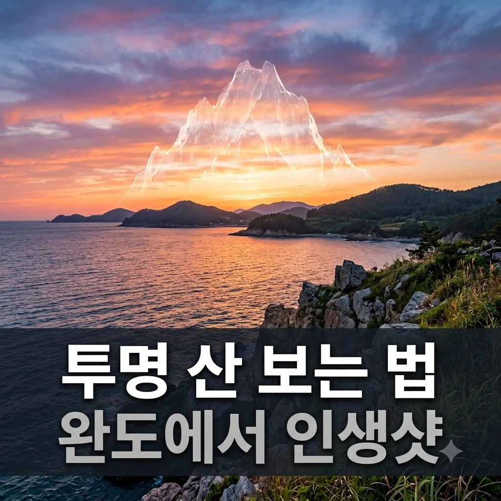 완도 투명 산: 2TV 생생정보 속 신비로운 착시 현상 완벽 관람 팁