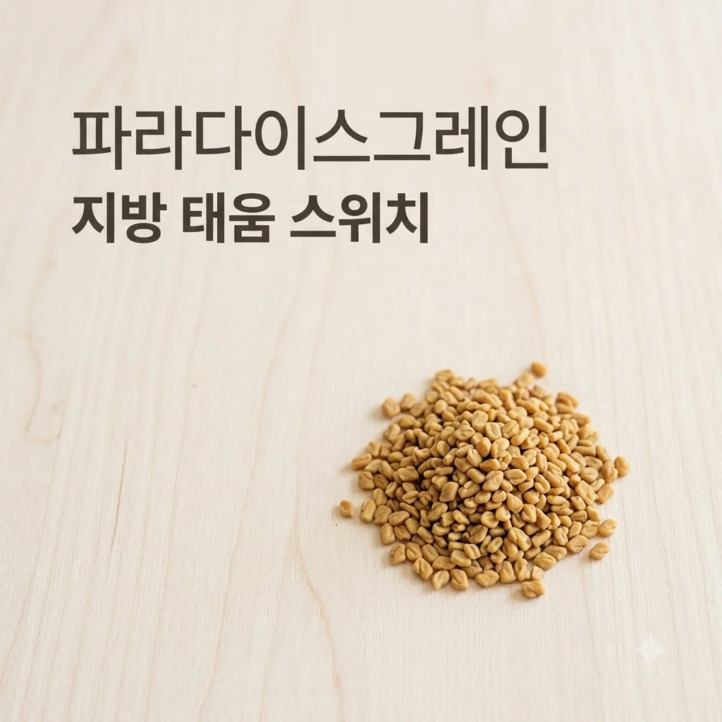 파라다이스그레인, 뱃살 고민 끝? 2026년 다이어트 핵심 성분 파헤치기