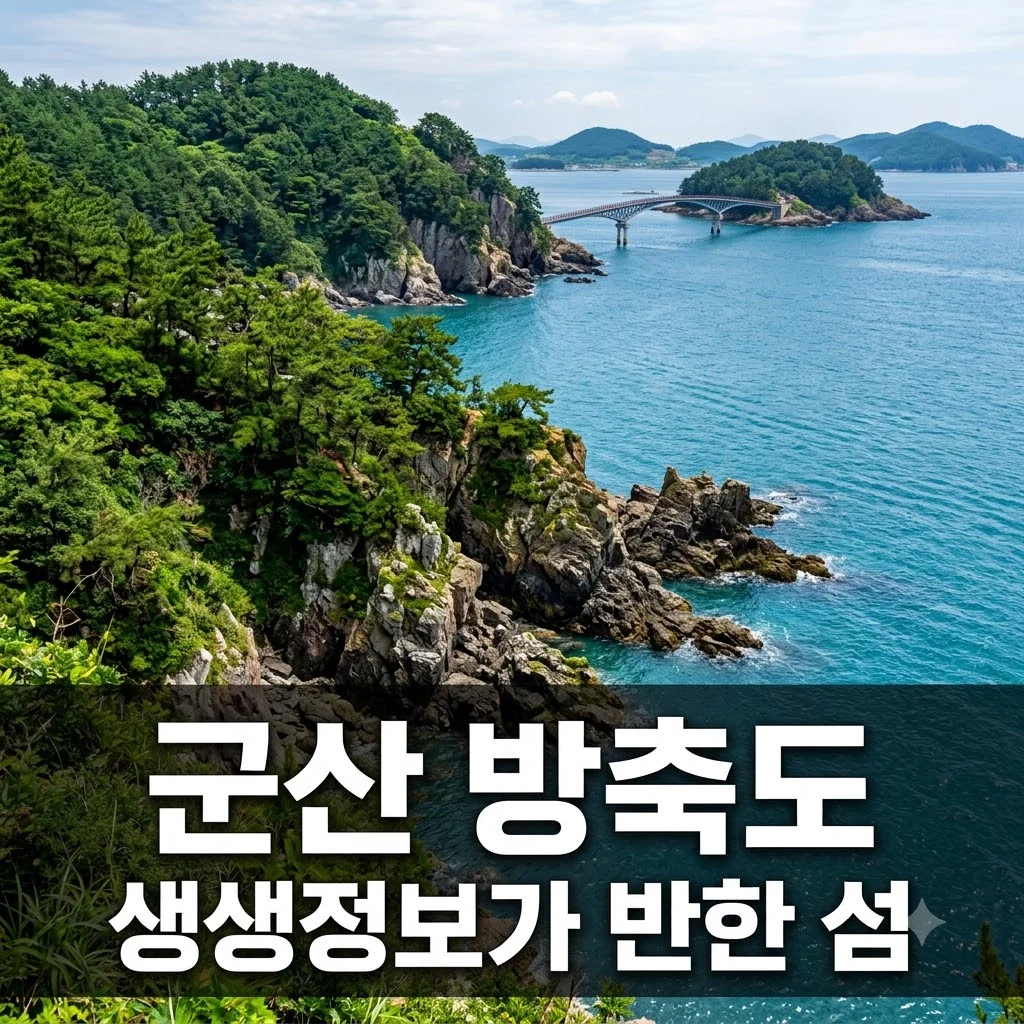 군산 방축도 여행: 2TV 생생정보가 반한 보물섬, 배편부터 코스까지 완벽 가이드