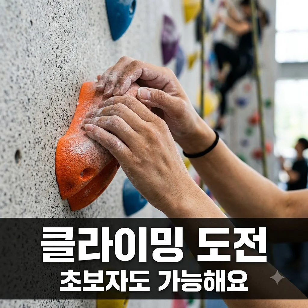 생생정보 클라이밍: 남양주 & 노원 실내 암벽등반 초보자 체험 가이드