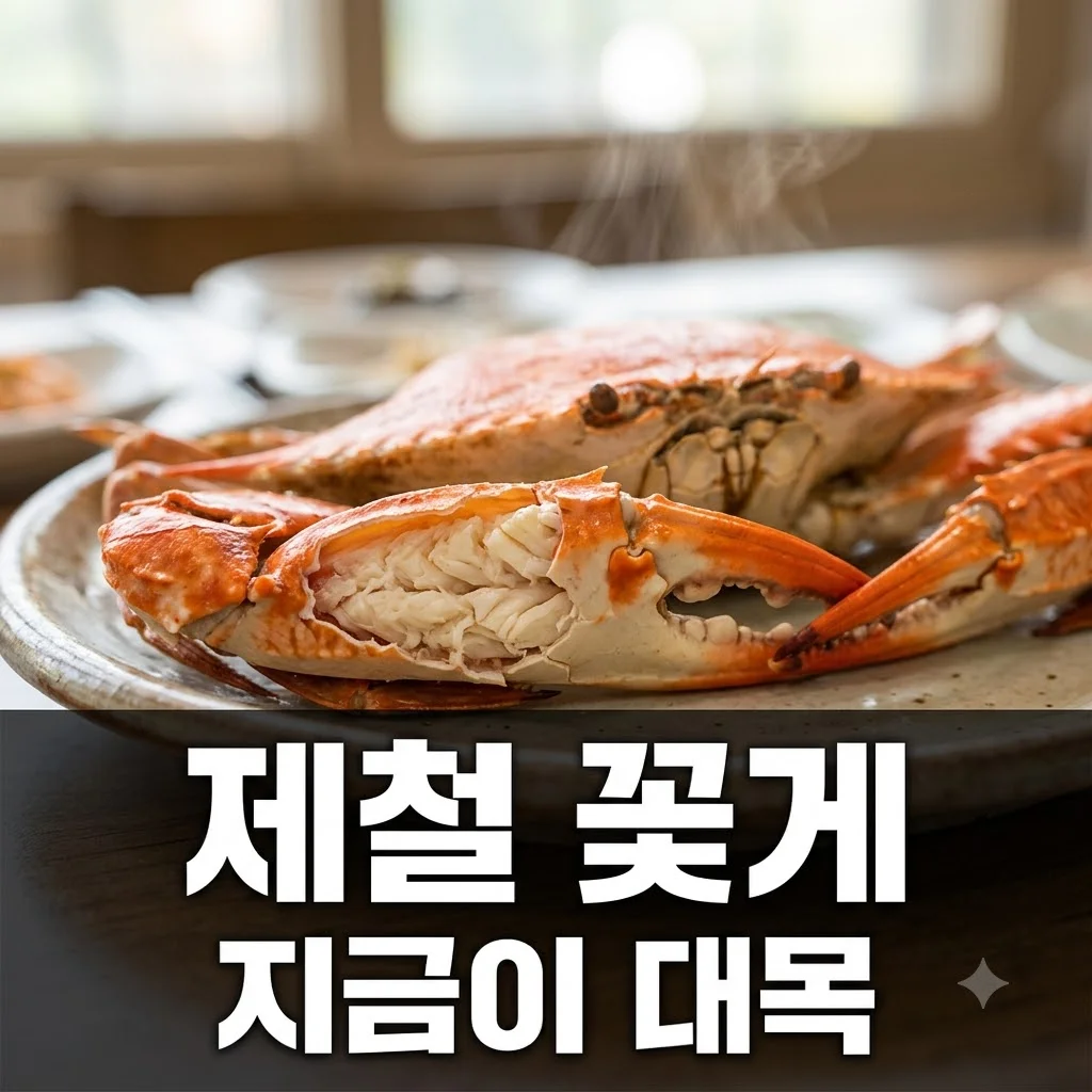 2TV 생생정보 제철 꽃게: (주)백화에서 즐기는 가을 별미 완벽 가이드