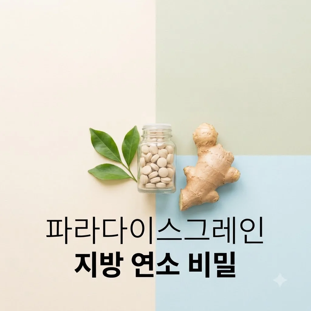파라다이스그레인, 중년 뱃살 잡는 비결? 최신 건강 트렌드 완전 분석!