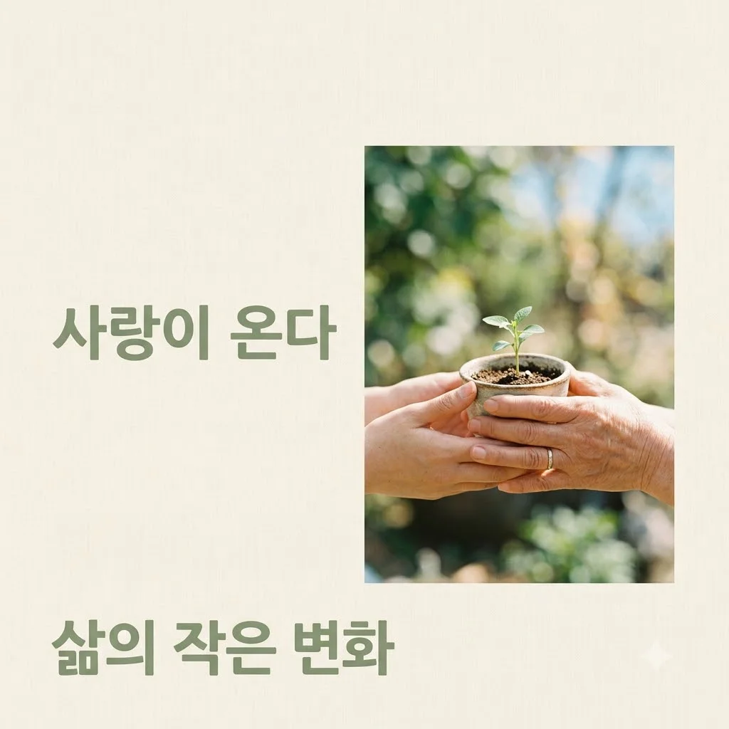 사랑이 온다: 우리 주변에 스며드는 긍정의 조흥식 정체는?