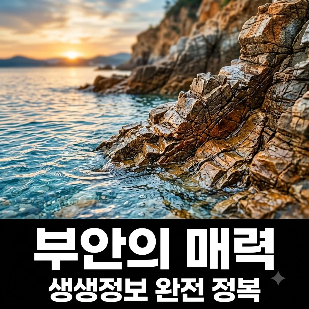 생생정보 부안 촬영지 총정리: 미스터 Lee의 부안 여행 완벽 가이드