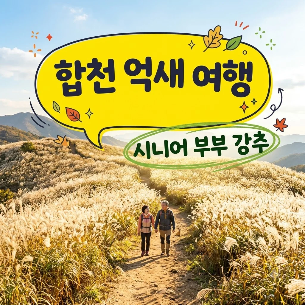 합천 1박2일 여행 코스 추천 | 시니어 부부 황매산 억새 힐링 일정
