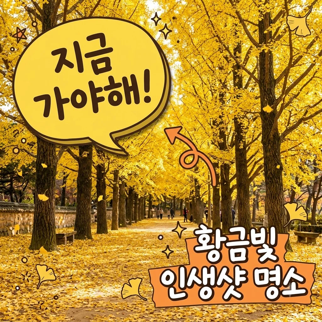 홍천 은행나무숲 단풍절정 시기 주차 및 중년 추천 코스 완벽 가이드
