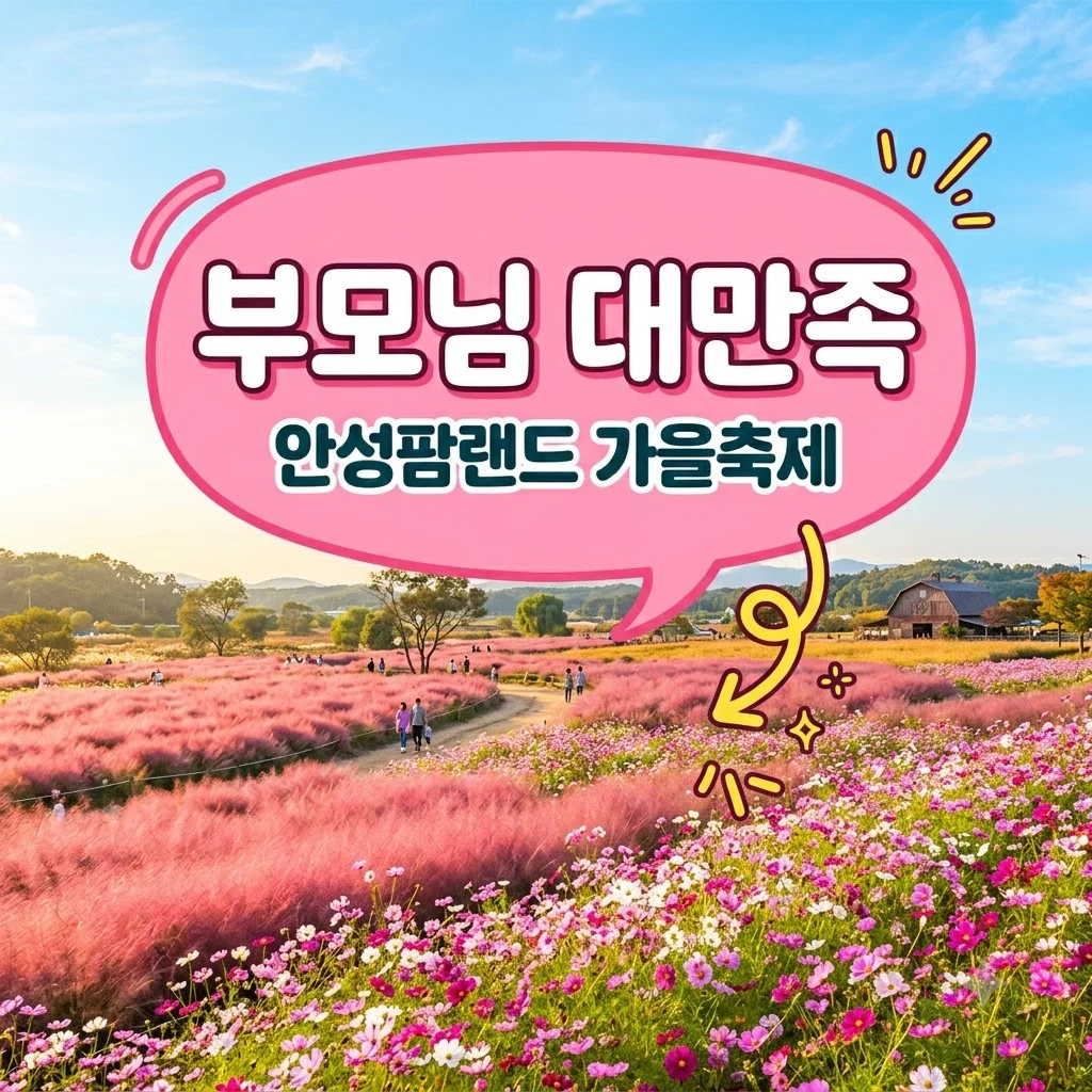 안성팜랜드 가을 축제 2026 코스목동 나들이 부모님 효도 코스 완벽 정리