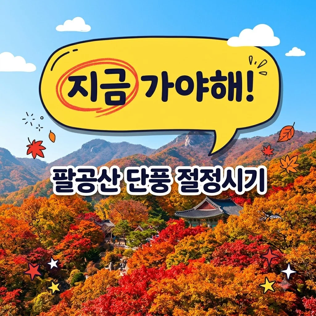 팔공산 단풍 절정기 2026년 예상 시기 및 케이블카 예약 할인 꿀팁