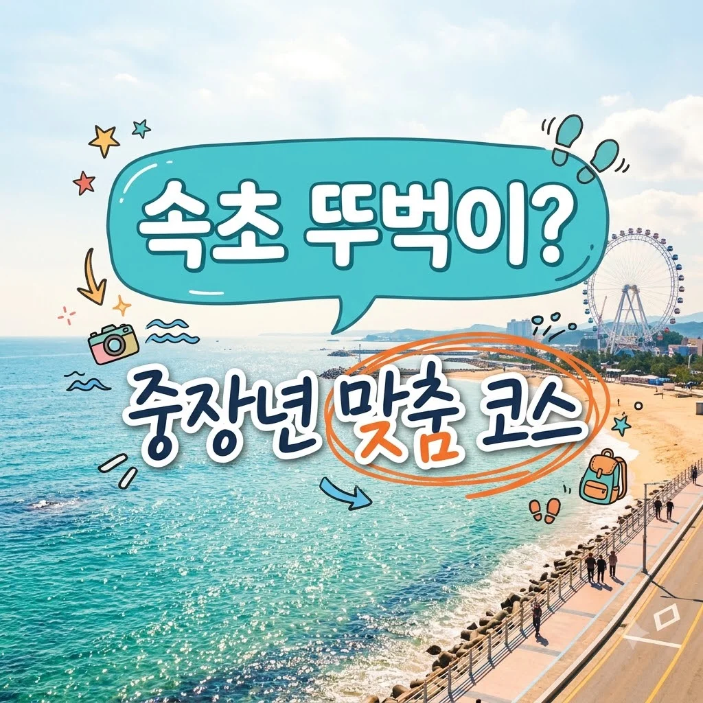 속초 당일치기 차 없이 떠나는 중장년 맞춤 버스 동선 및 꿀팁